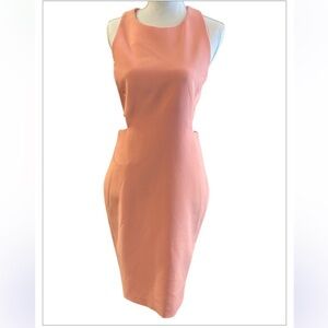 NWT ELIZABETH AND JAMES DRESS PHOENIX APRICOT SIZE 10 SLEEVELESS CUTOUT SHEATH